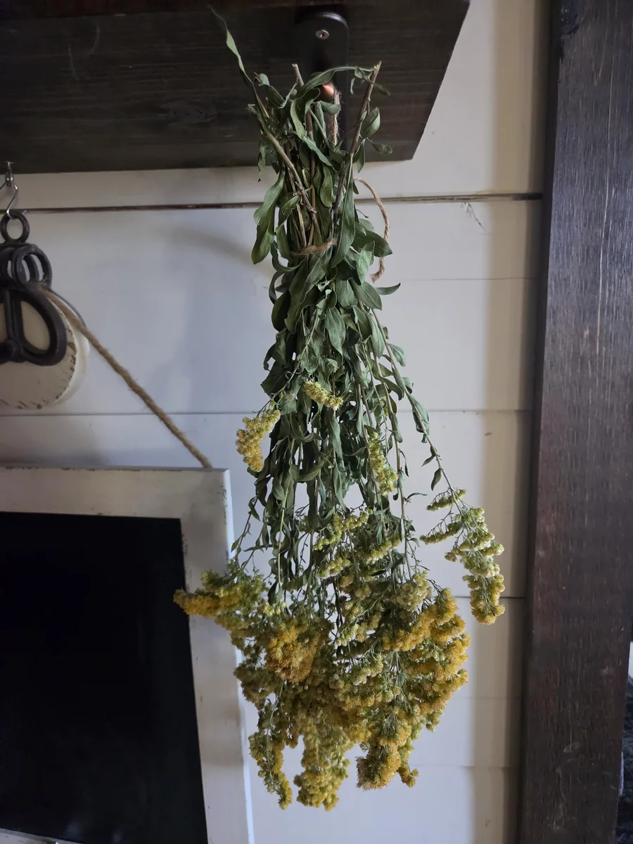 Goldenrod